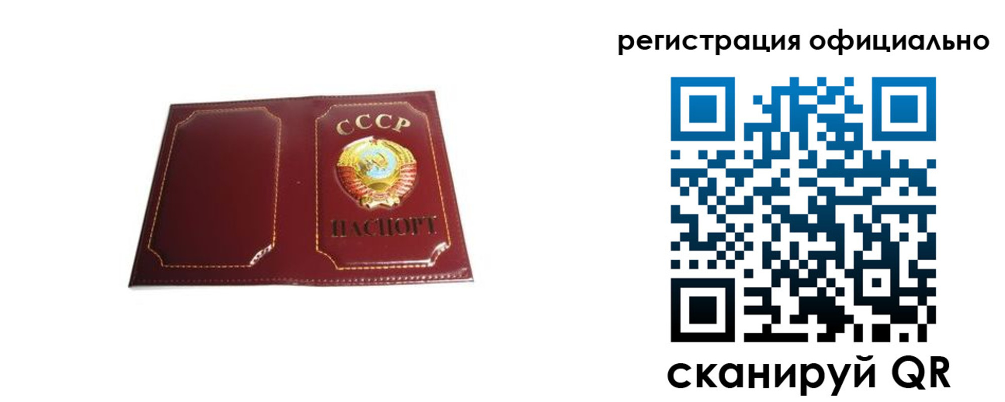 прописка в Ярославской области